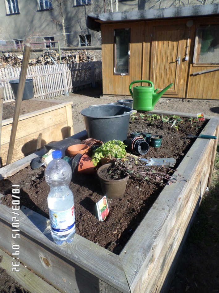 hochbeet 2.jpg