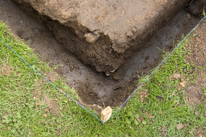 Ihr wolltet Bilder - hättet Ihr das mal beeser nicht verlangt. Jetzt gibt es von jedem Mückenpubs eins ;o)